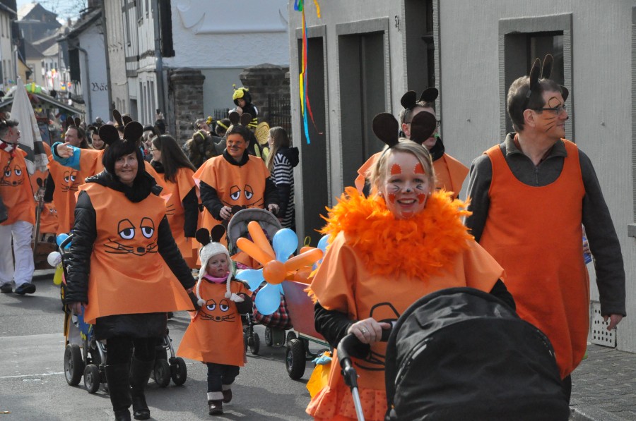 Foto Karnevalszug 2014