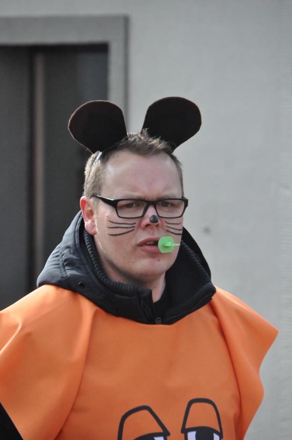 Foto Karnevalszug 2014