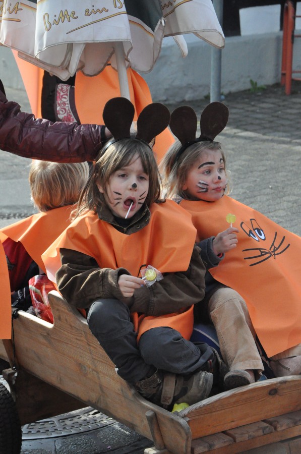 Foto Karnevalszug 2014