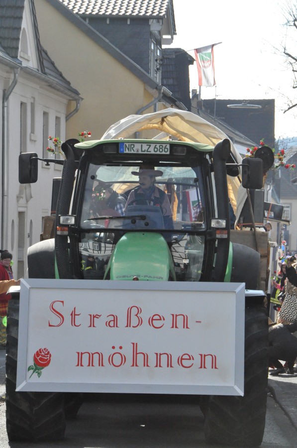 Foto Karnevalszug 2014