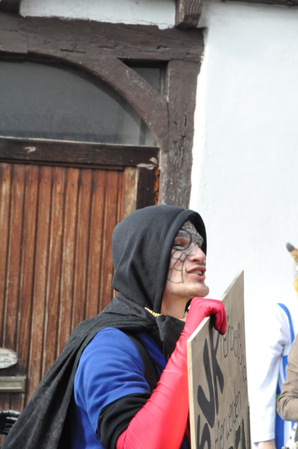 Foto Karnevalszug 2014