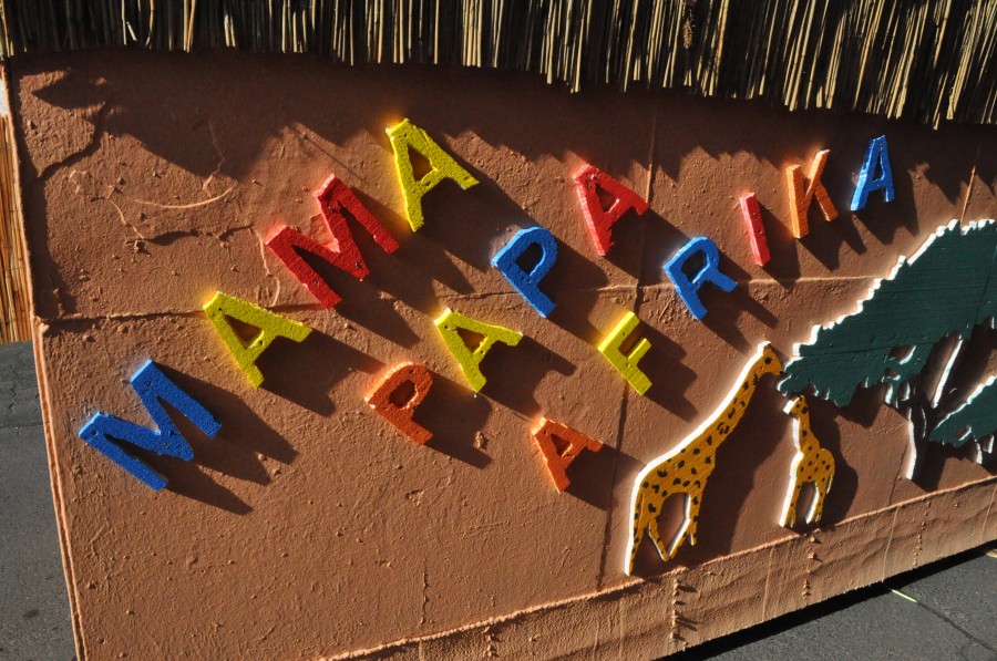 Foto Karnevalszug 2014