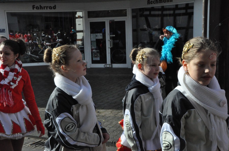 Foto Karnevalszug 2014