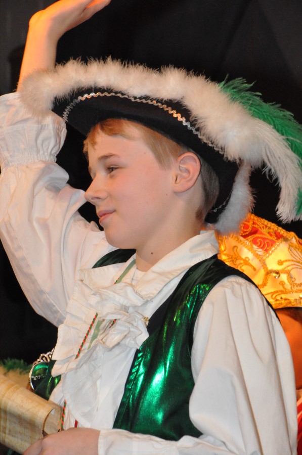 Foto Narrensitzung 2015