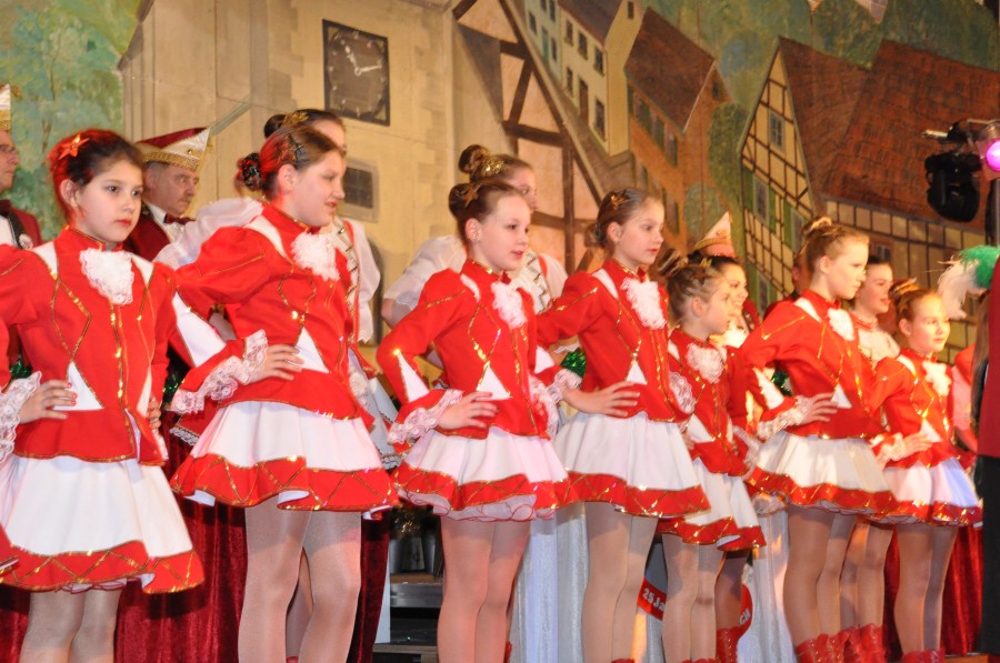 Foto Narrensitzung 2015