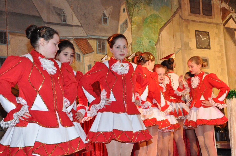 Foto Narrensitzung 2015