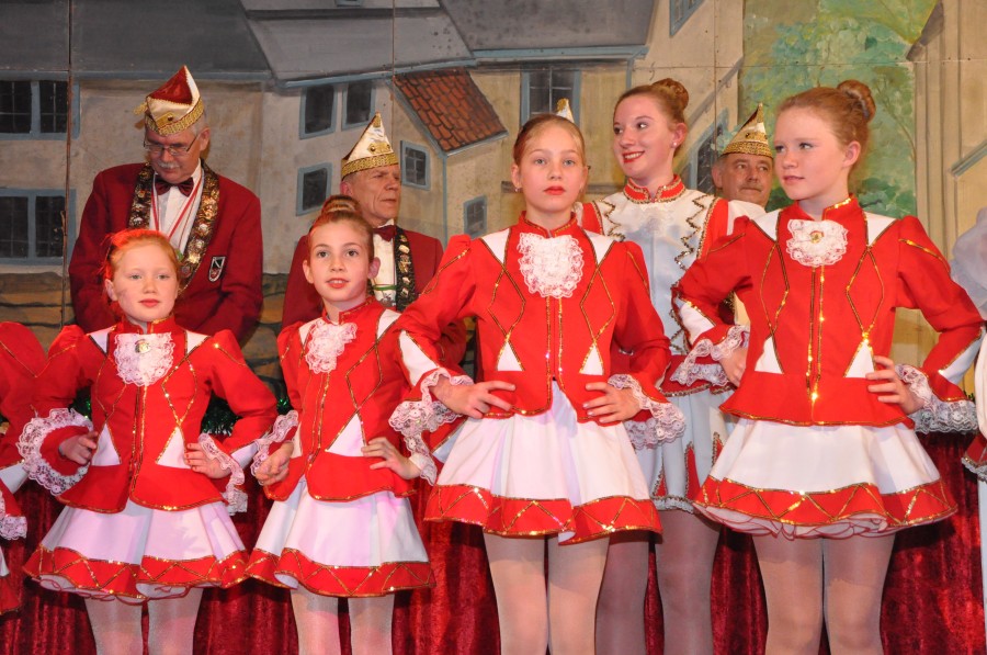 Foto Narrensitzung 2015