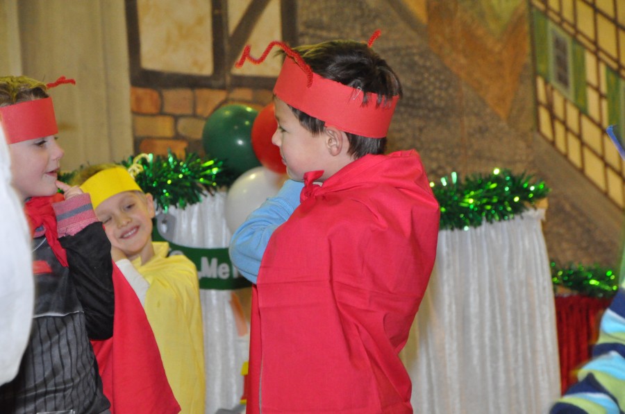 Foto Seniorenkarneval 2015