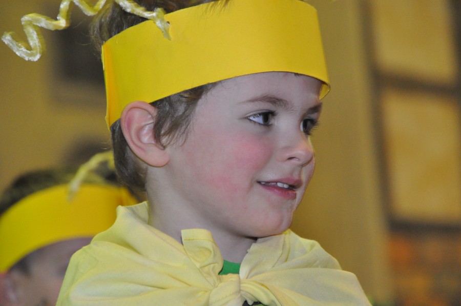 Foto Seniorenkarneval 2015