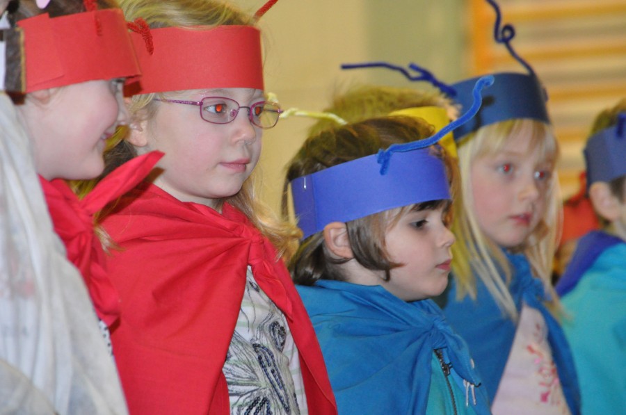 Foto Seniorenkarneval 2015