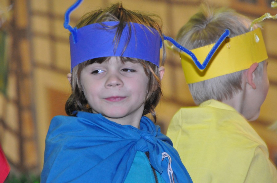 Foto Seniorenkarneval 2015