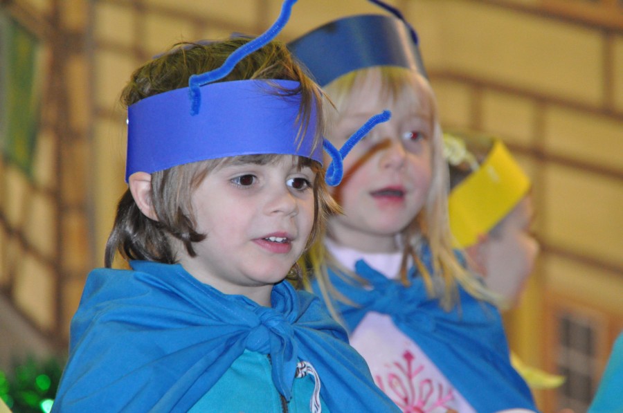 Foto Seniorenkarneval 2015
