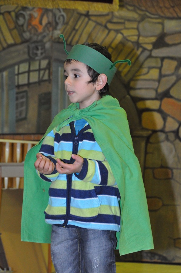 Foto Seniorenkarneval 2015