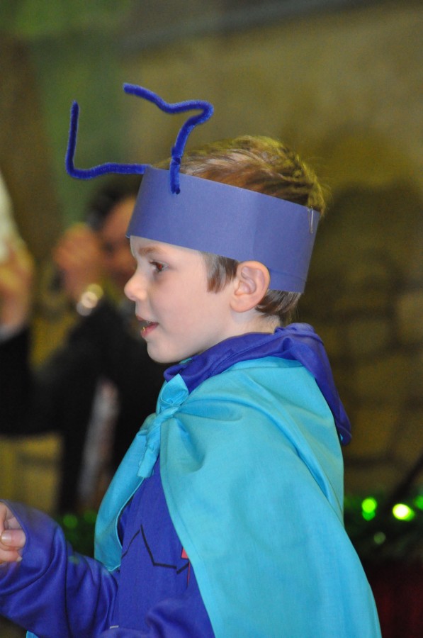 Foto Seniorenkarneval 2015