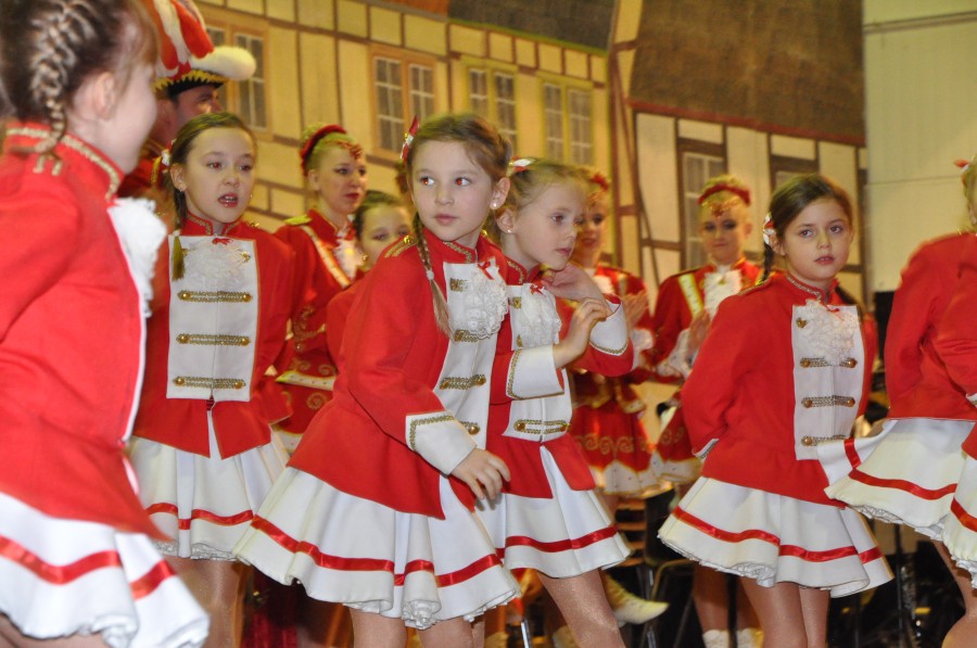 Foto Seniorenkarneval 2015