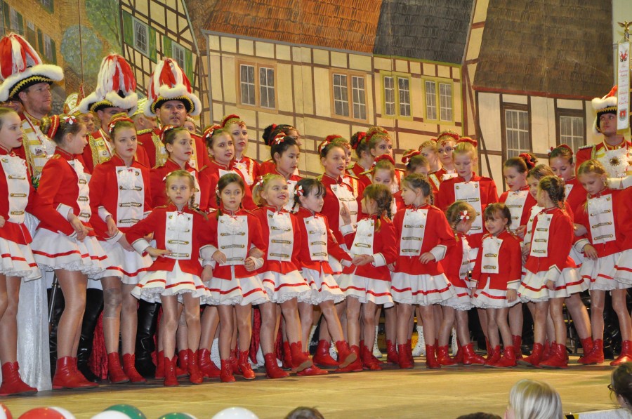 Foto Seniorenkarneval 2015