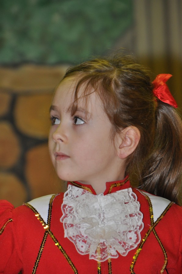 Foto Seniorenkarneval 2015