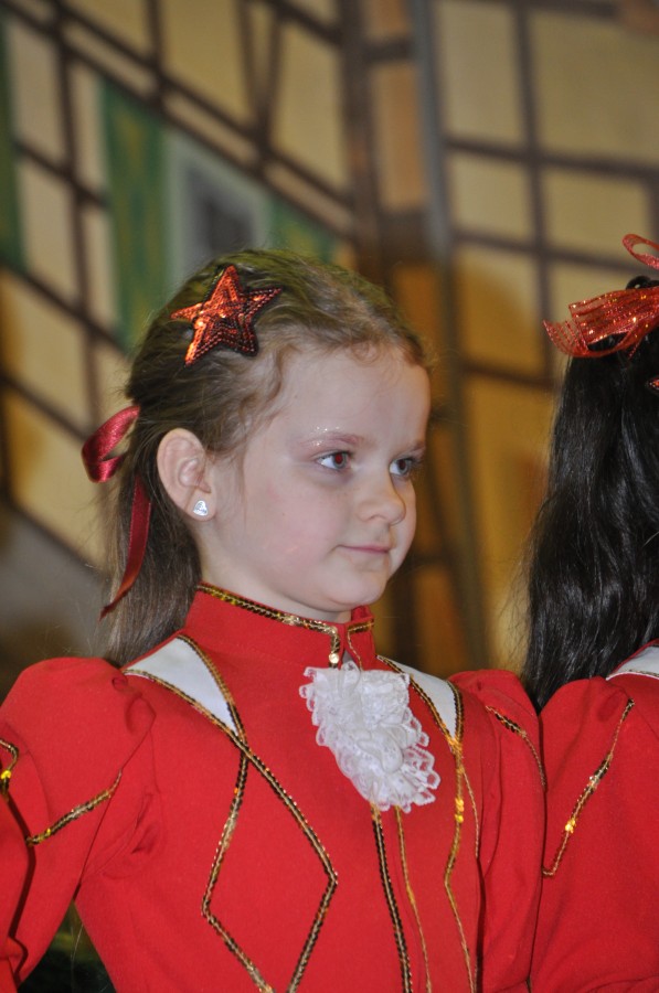 Foto Seniorenkarneval 2015