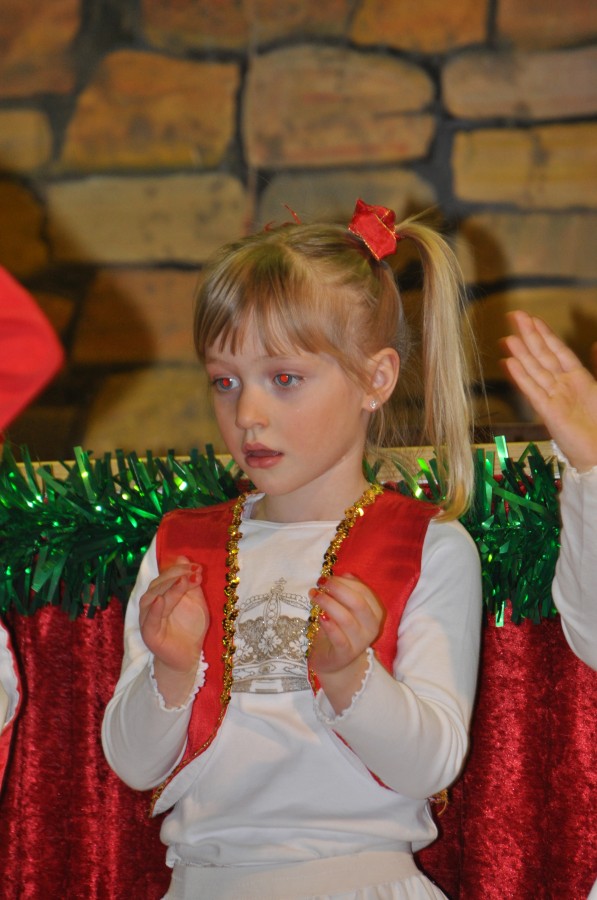 Foto Seniorenkarneval 2015