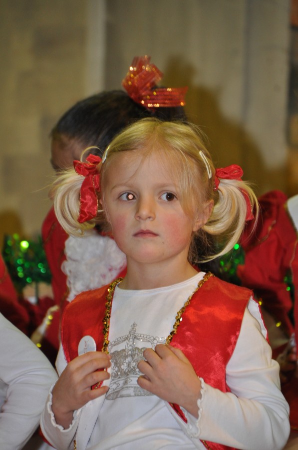 Foto Seniorenkarneval 2015