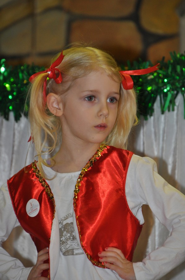 Foto Seniorenkarneval 2015