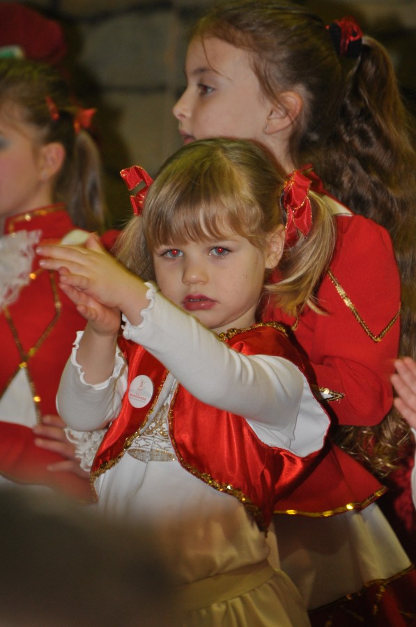 Foto Seniorenkarneval 2015