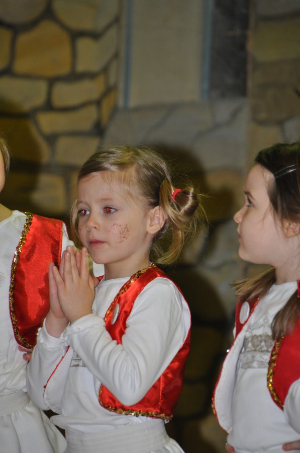 Foto Seniorenkarneval 2015