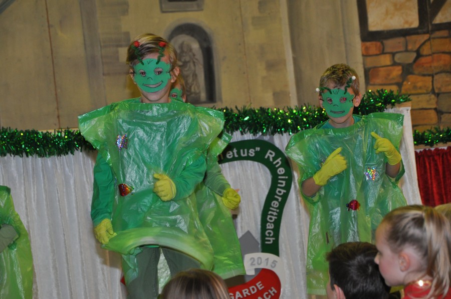 Foto Seniorenkarneval 2015