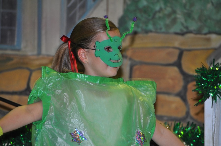 Foto Seniorenkarneval 2015