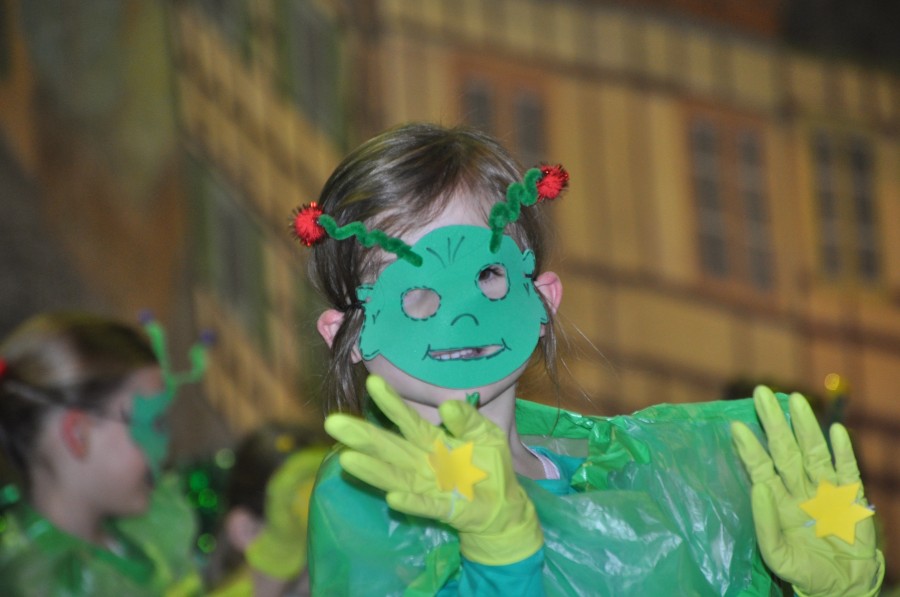 Foto Seniorenkarneval 2015