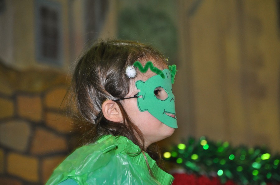 Foto Seniorenkarneval 2015