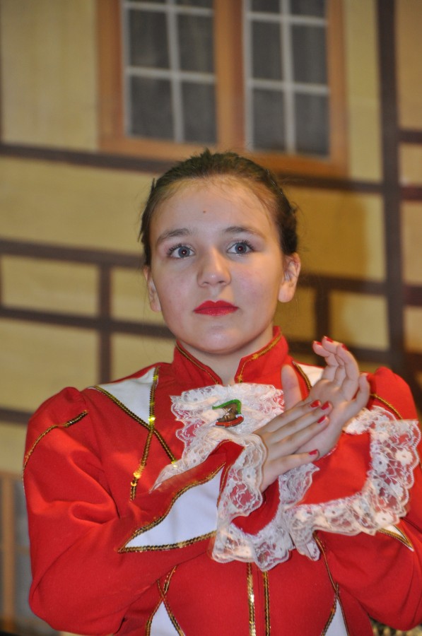 Foto Seniorenkarneval 2015