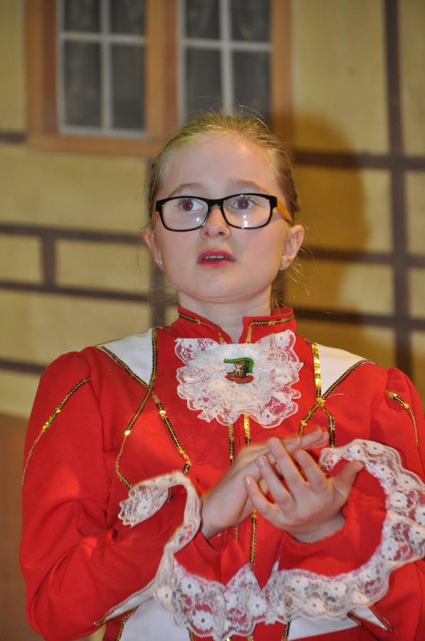 Foto Seniorenkarneval 2015