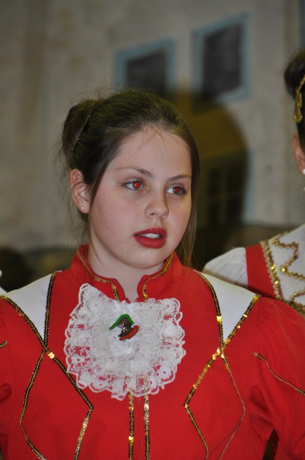 Foto Seniorenkarneval 2015