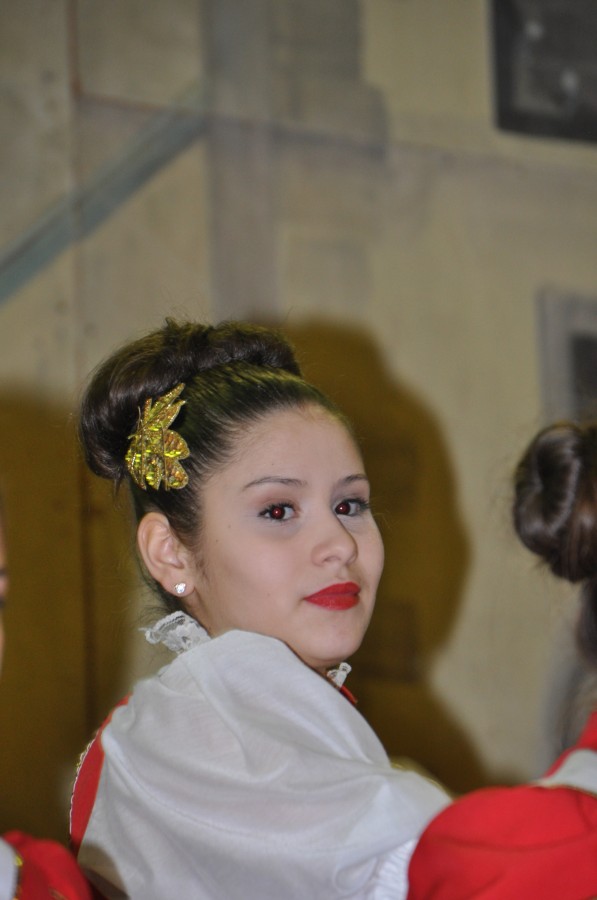 Foto Seniorenkarneval 2015