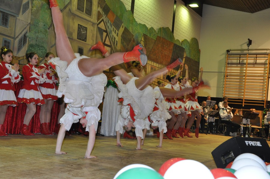 Foto Seniorenkarneval 2015