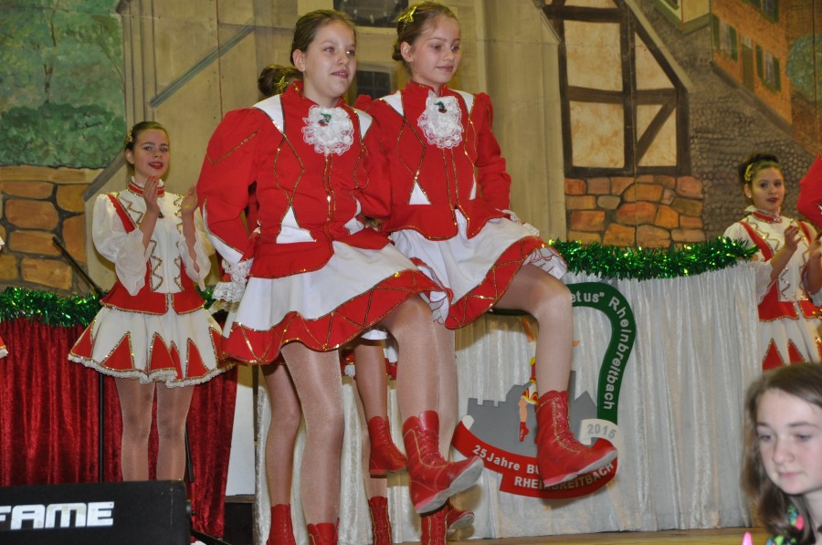 Foto Seniorenkarneval 2015