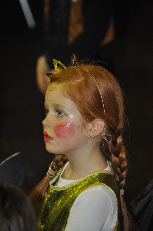 Foto Kinderkarneval 2015
