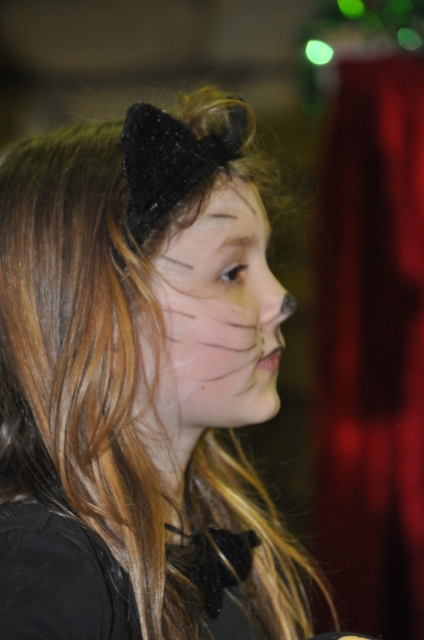 Foto Kinderkarneval 2015