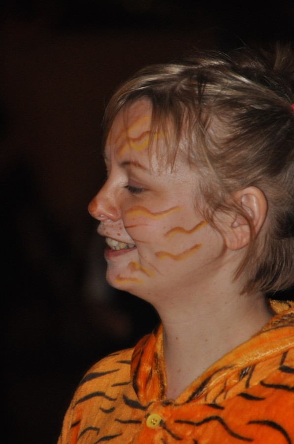 Foto Kost�mball 2015