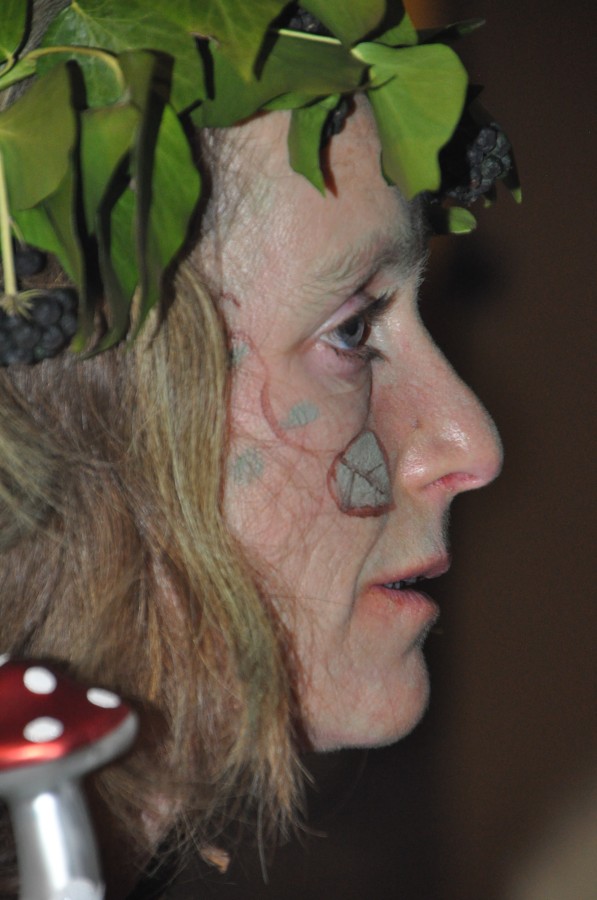 Foto Kost�mball 2015