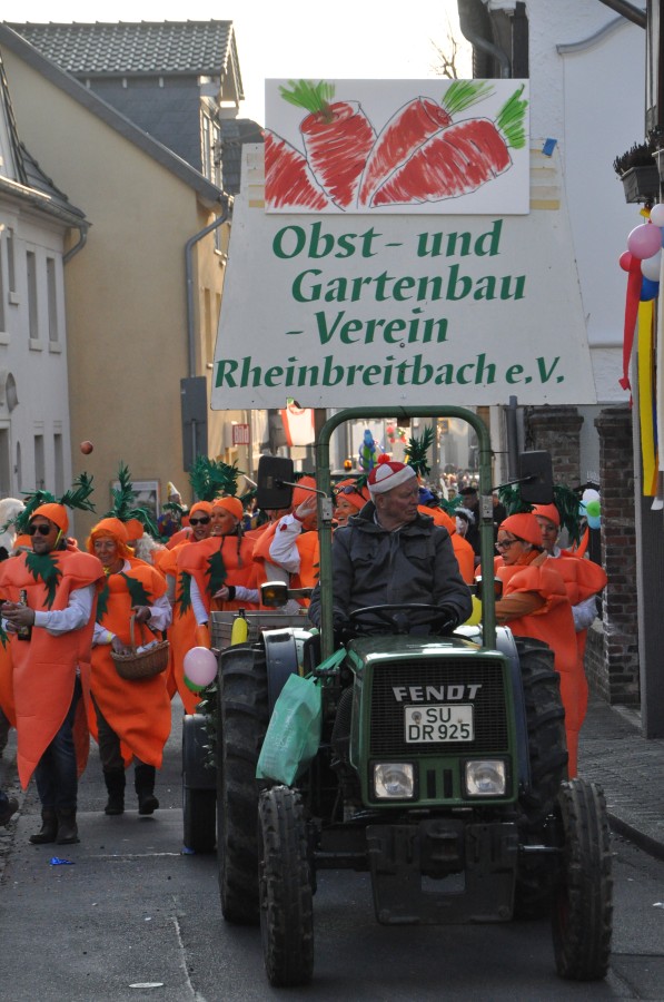 Foto Karnevalszug 2015