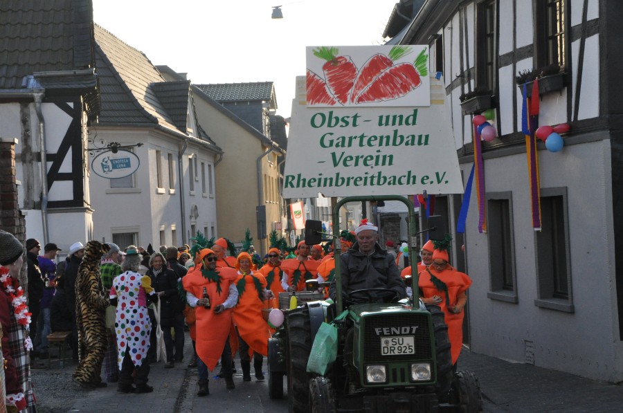 Foto Karnevalszug 2015