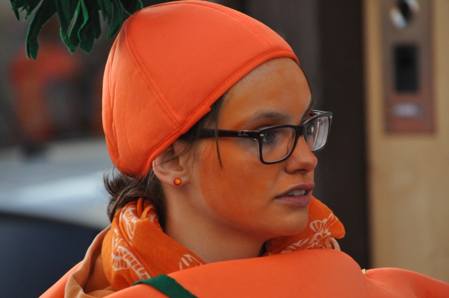 Foto Karnevalszug 2015