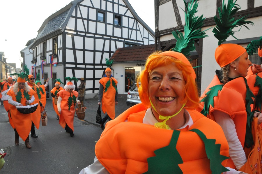 Foto Karnevalszug 2015
