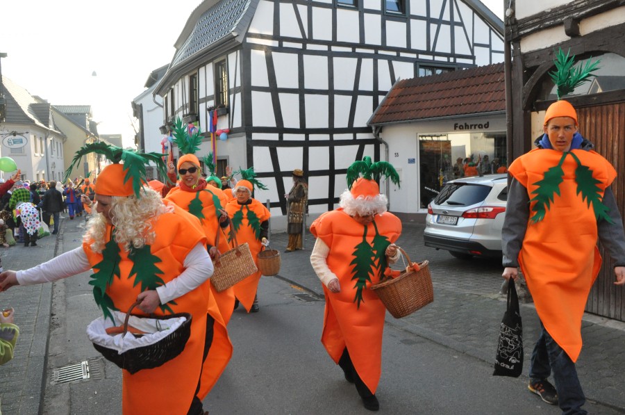 Foto Karnevalszug 2015