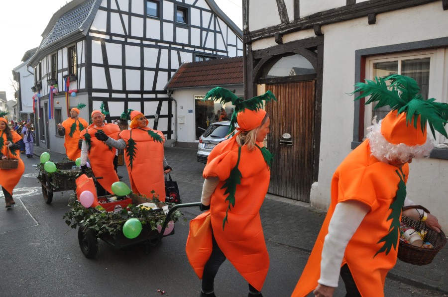 Foto Karnevalszug 2015