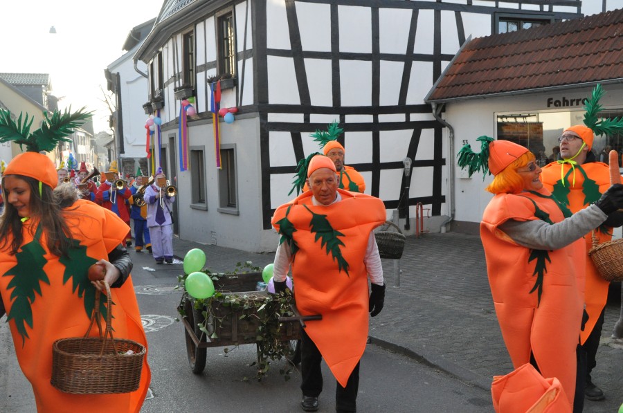 Foto Karnevalszug 2015