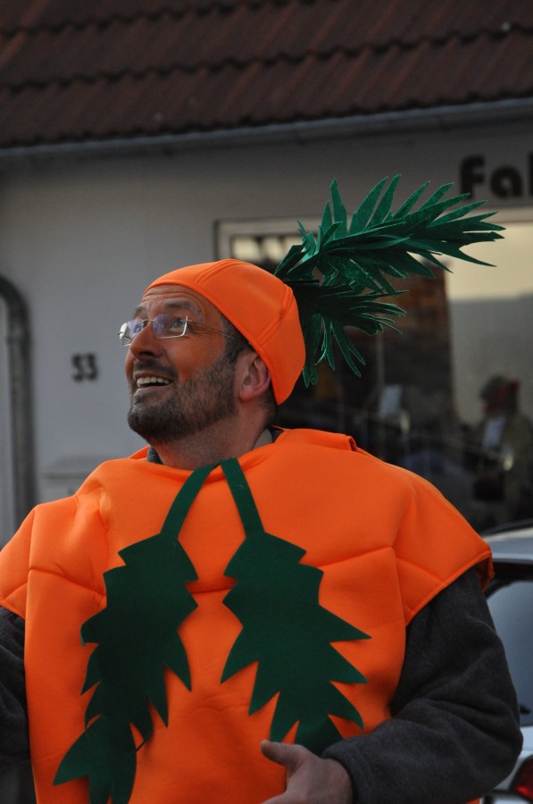 Foto Karnevalszug 2015