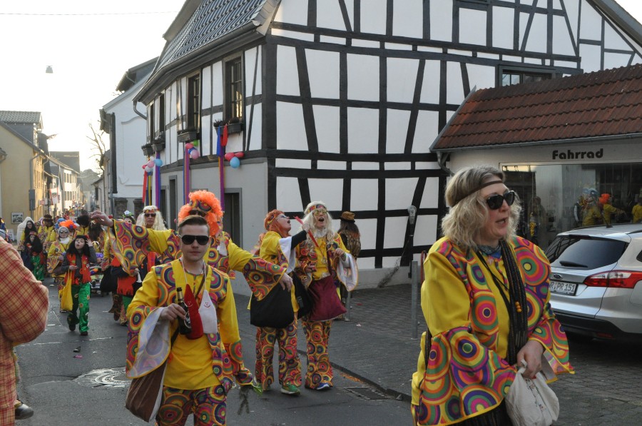 Foto Karnevalszug 2015